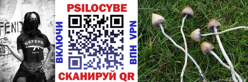 Галлюциногенные грибы Cubensis наркошоп Торжок